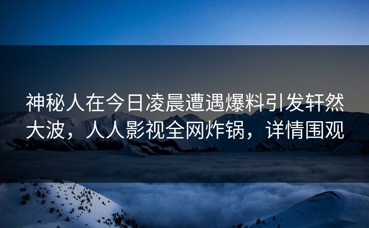 神秘人在今日凌晨遭遇爆料引发轩然大波,人人影视全网炸锅,详情围观