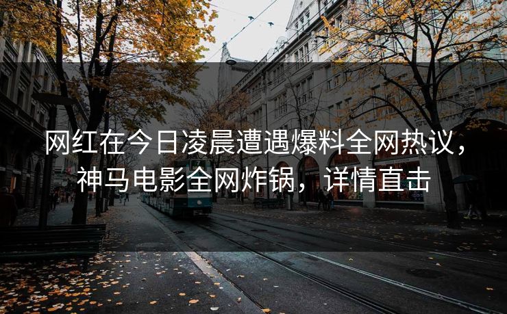 网红在今日凌晨遭遇爆料全网热议,神马电影全网炸锅,详情直击