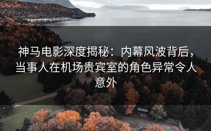 神马电影深度揭秘：内幕风波背后，当事人在机场贵宾室的角色异常令人意外