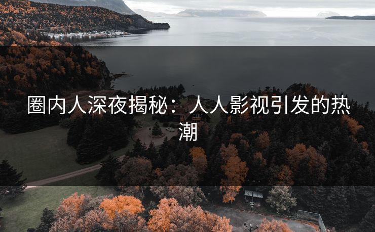 圈内人深夜揭秘：人人影视引发的热潮
