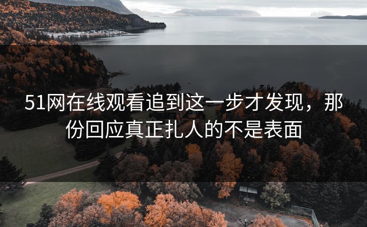 51网在线观看追到这一步才发现，那份回应真正扎人的不是表面